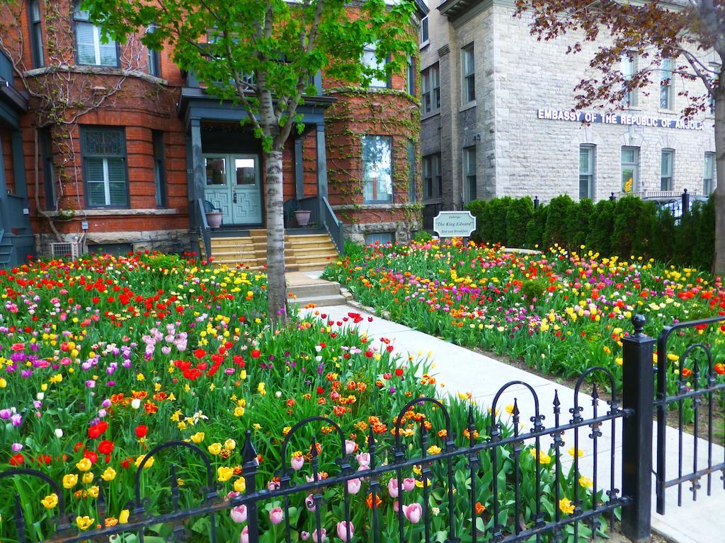 Auberge King Edward Bed And Breakfast Ottawa Szoba fotó